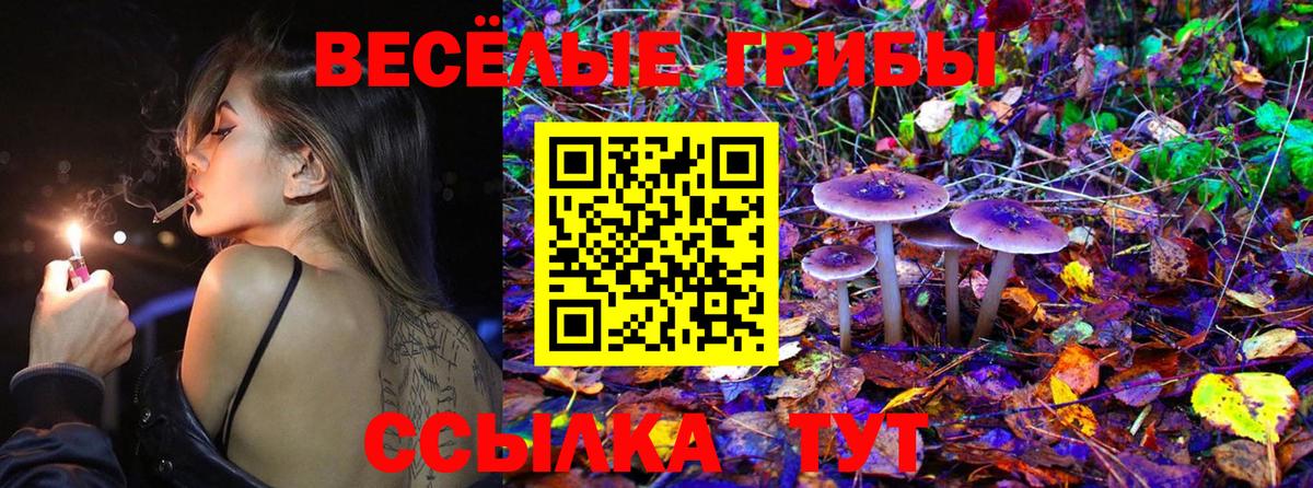 Усть-Лабинск  Галлюциногенные грибы MAGIC MUSHROOMS  Вход с VPN 