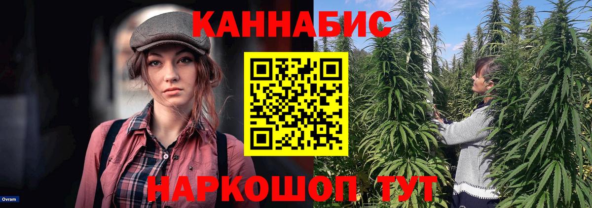 Усть-Лабинск  Шишки марихуана гибрид  Конопля Bruce Banner  Шишки марихуана THC 21%  Канабис White Widow  Вход с VPN 